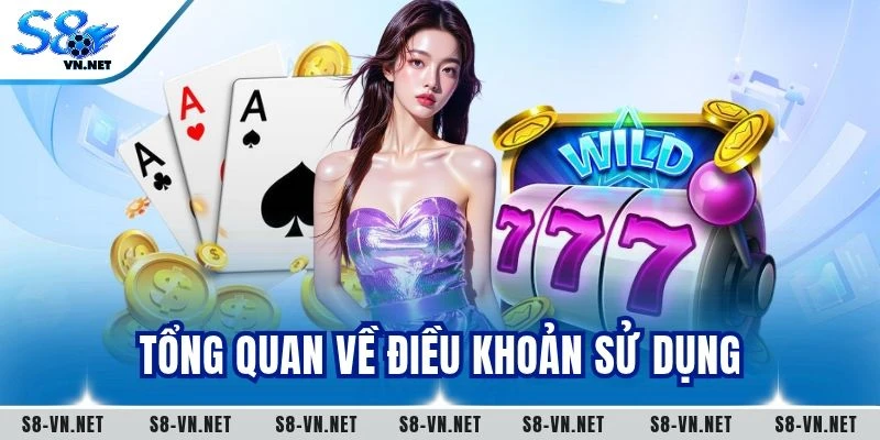 Tổng quan về điều khoản sử dụng