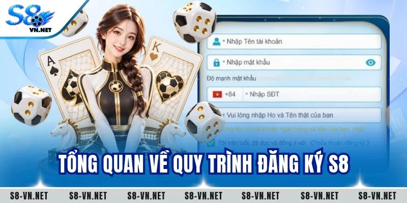 Tổng quan về quy trình đăng ký S8
